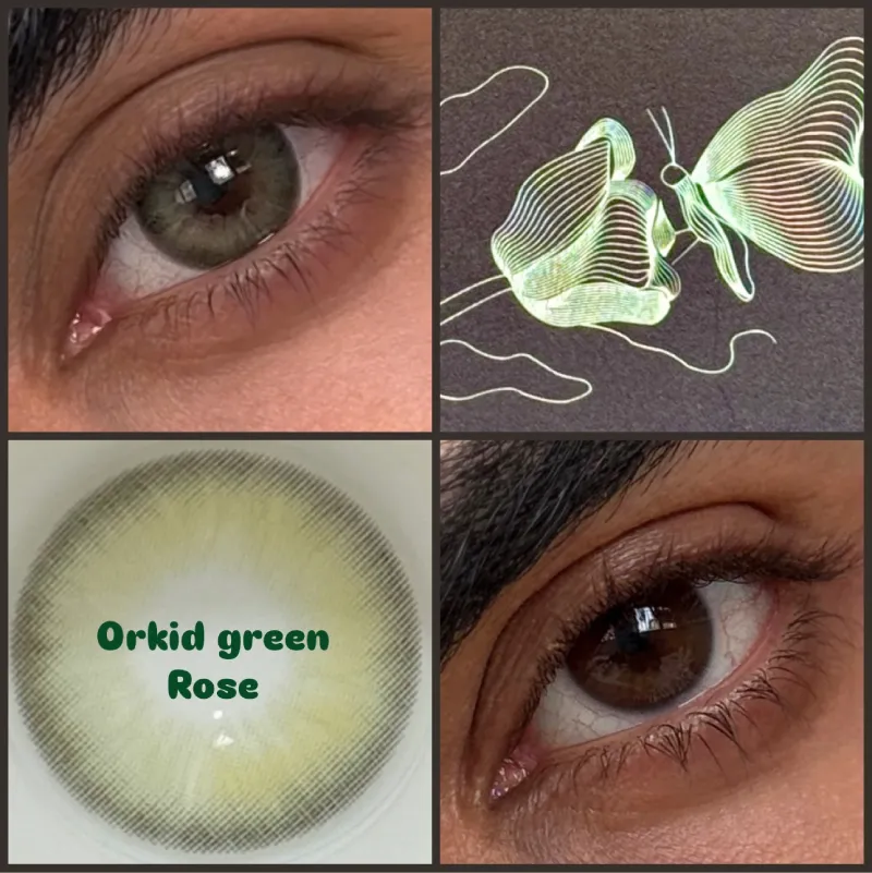لنز ارکید گرین rose