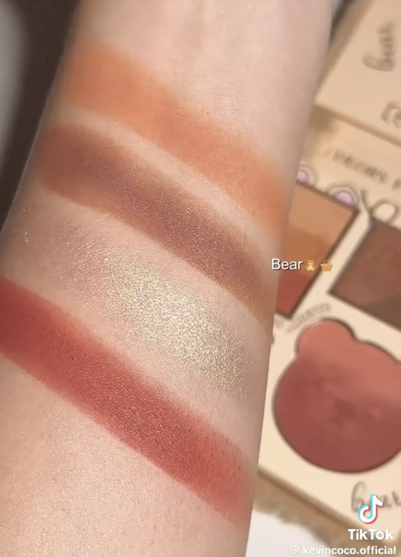 پالت میکاپ bear kevin coco