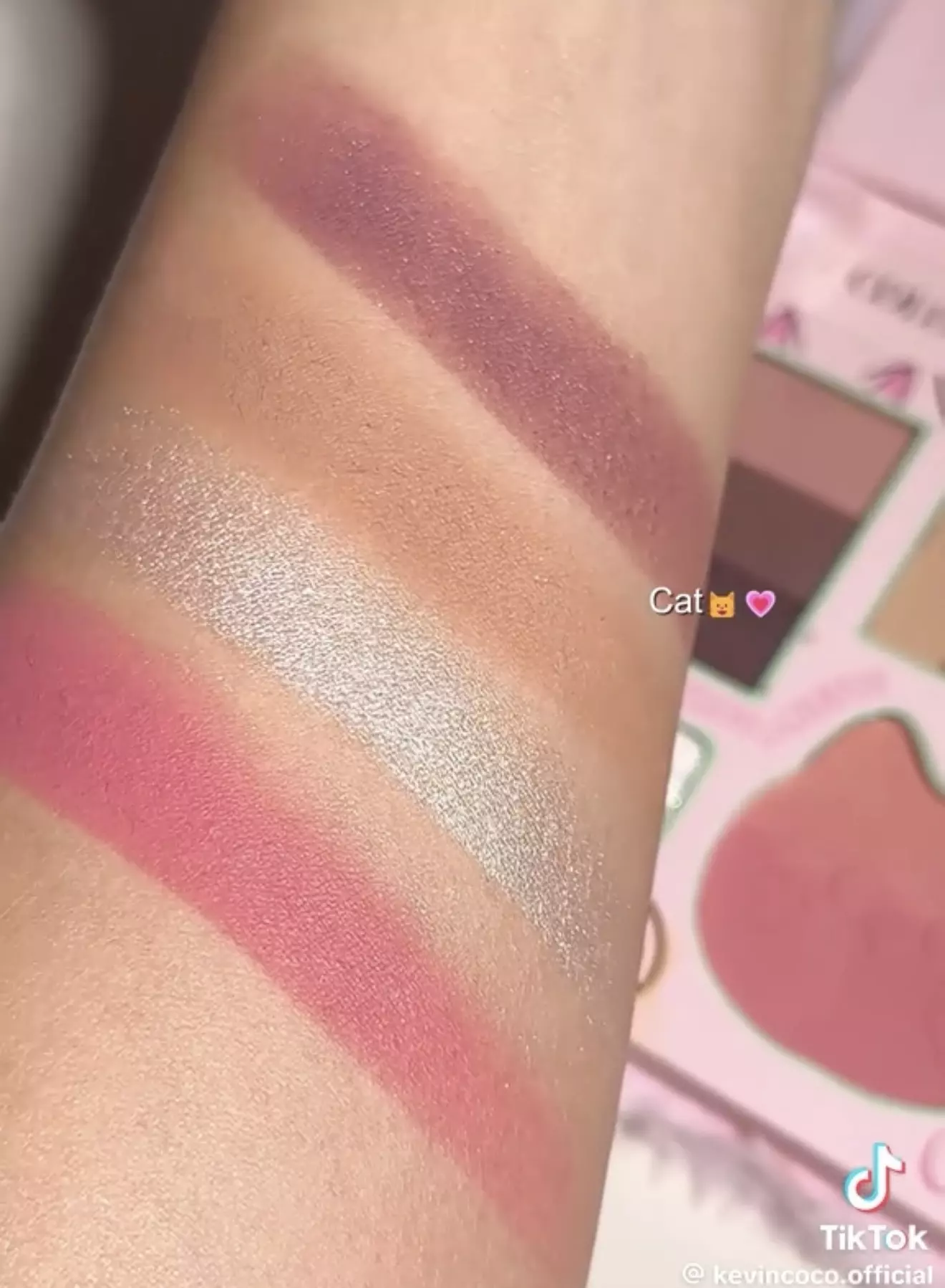 پالت میکاپ cat kevin coco