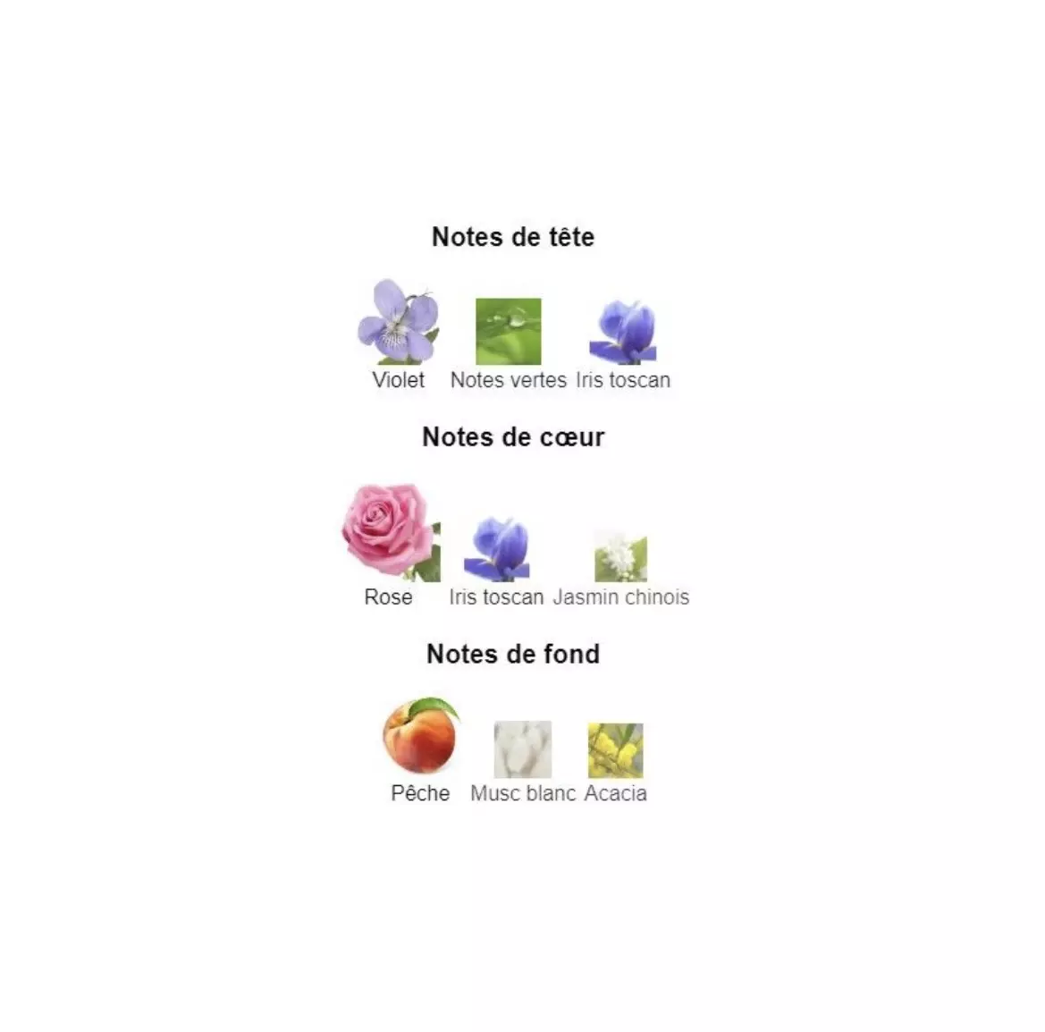 عطر ادکلن لویی ویتون رز دس ونتس فراگرنس ورد کمپ د رز ژاک ایو Fragrance world Louis Vuitton Rose Des Vents