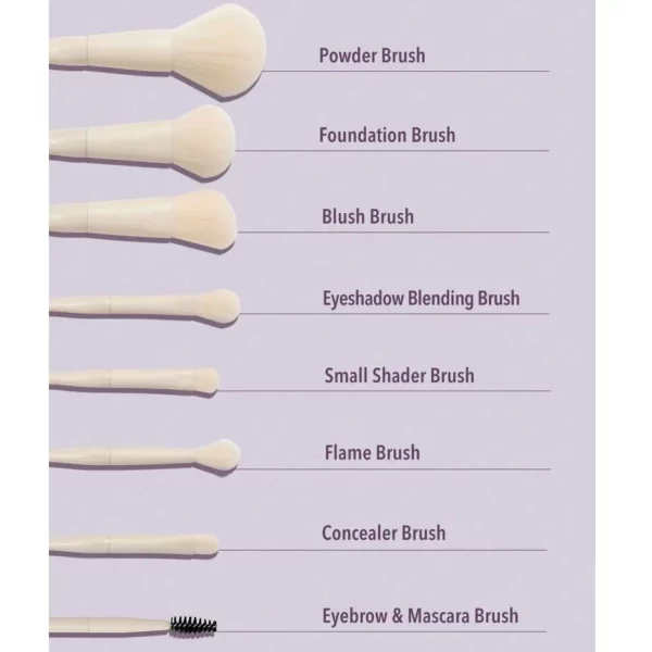 ست براش آرایش 8 عددی شیگلم مدل Pro Care